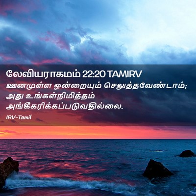 Picture 02 - லேவியராகமம் 22:20 TAMIRV - ஊனமுள்ள ஒன்றையும் - Bible Verse Picture