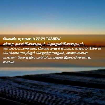 Picture 02 - லேவியராகமம் 22:24 TAMIRV - விதை - Bible Verse Picture