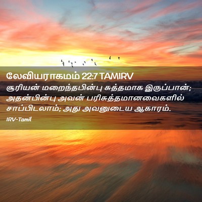 Picture 02 - லேவியராகமம் 22:7 TAMIRV - சூரியன் - Bible Verse Picture