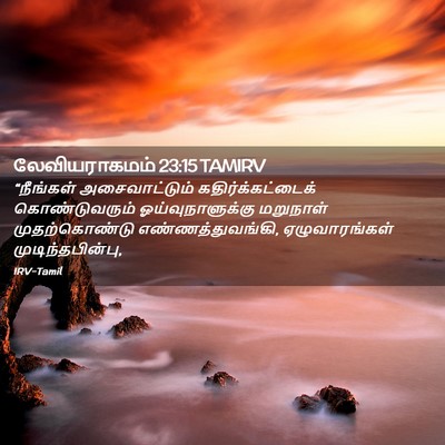 Picture 02 - லேவியராகமம் 23:15 TAMIRV - “நீங்கள் - Bible Verse Picture