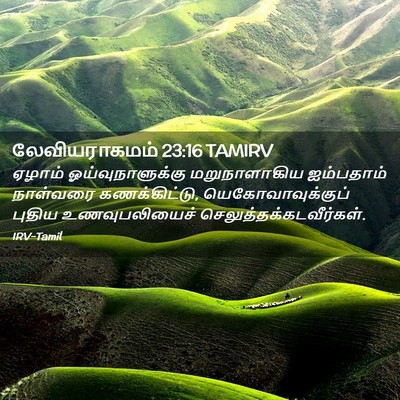 Picture 02 - லேவியராகமம் 23:16 TAMIRV - ஏழாம் - Bible Verse Picture