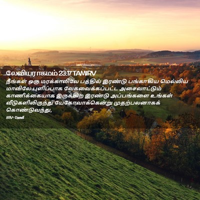 Picture 02 - லேவியராகமம் 23:17 TAMIRV - நீங்கள் ஒரு - Bible Verse Picture