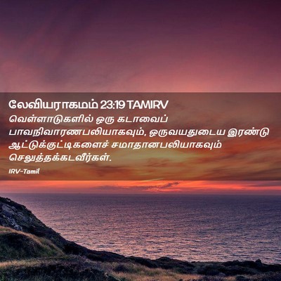 Picture 02 - லேவியராகமம் 23:19 TAMIRV - வெள்ளாடுகளில் ஒரு - Bible Verse Picture