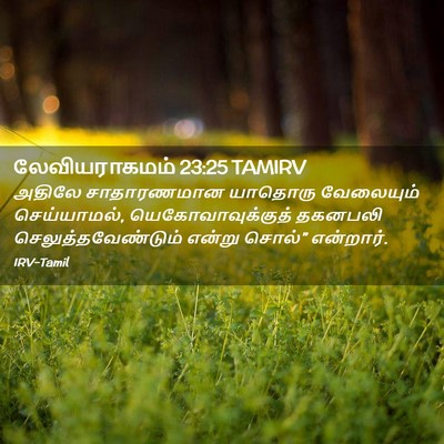 Picture 02 - லேவியராகமம் 23:25 TAMIRV - அதிலே சாதாரணமான - Bible Verse Picture