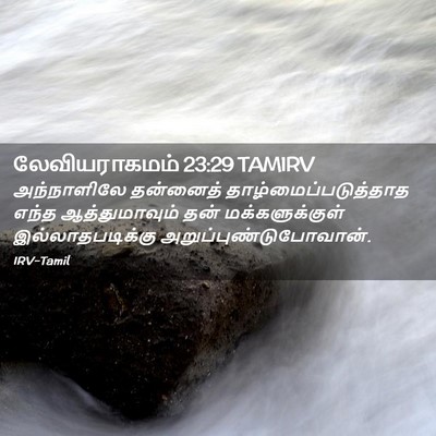Picture 02 - லேவியராகமம் 23:29 TAMIRV - அந்நாளிலே தன்னைத் - Bible Verse Picture