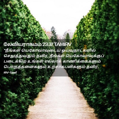 Picture 02 - லேவியராகமம் 23:37 TAMIRV - “நீங்கள் - Bible Verse Picture