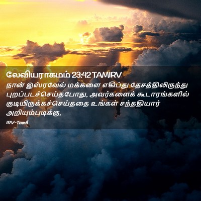 Picture 02 - லேவியராகமம் 23:42 TAMIRV - நான் இஸ்ரவேல் - Bible Verse Picture