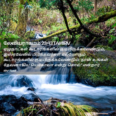 Picture 02 - லேவியராகமம் 23:43 TAMIRV - ஏழுநாட்கள் - Bible Verse Picture