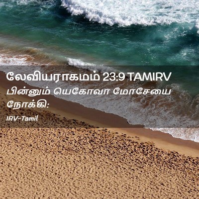 Picture 02 - லேவியராகமம் 23:9 TAMIRV - பின்னும் யெகோவா - Bible Verse Picture
