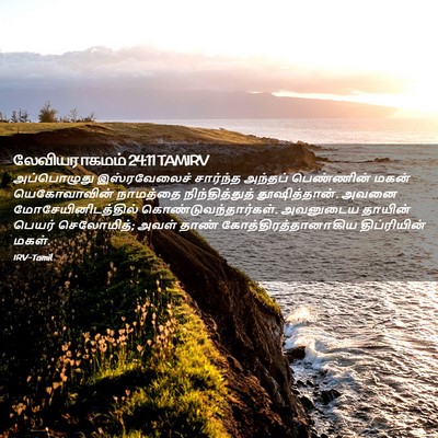Picture 02 - லேவியராகமம் 24:11 TAMIRV - அப்பொழுது - Bible Verse Picture