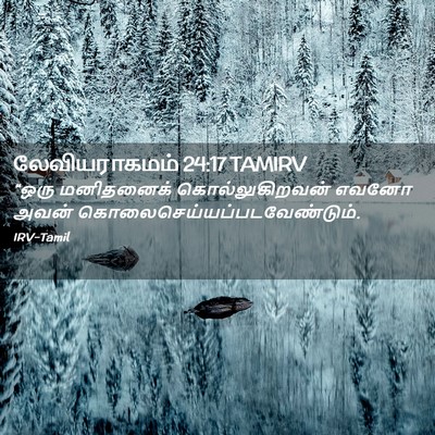 Picture 02 - லேவியராகமம் 24:17 TAMIRV - “ஒரு மனிதனைக் - Bible Verse Picture