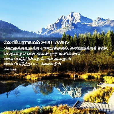 Picture 02 - லேவியராகமம் 24:20 TAMIRV - நொறுக்குதலுக்கு - Bible Verse Picture