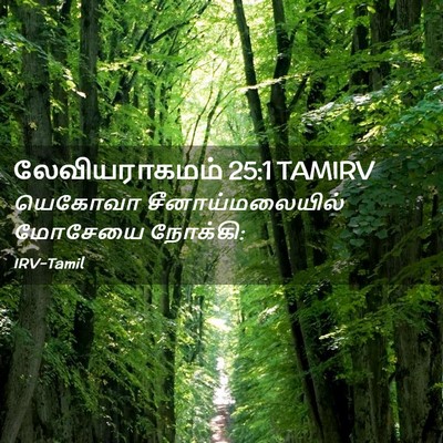 Picture 02 - லேவியராகமம் 25:1 TAMIRV - யெகோவா - Bible Verse Picture
