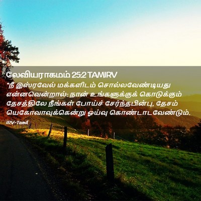 Picture 02 - லேவியராகமம் 25:2 TAMIRV - “நீ இஸ்ரவேல் - Bible Verse Picture