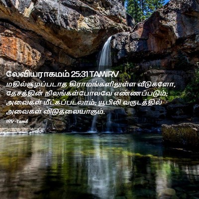 Picture 02 - லேவியராகமம் 25:31 TAMIRV - மதில்சூழப்படாத - Bible Verse Picture
