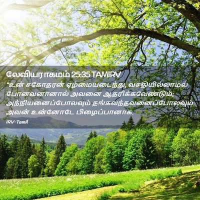 Picture 02 - லேவியராகமம் 25:35 TAMIRV - “உன் சகோதரன் - Bible Verse Picture