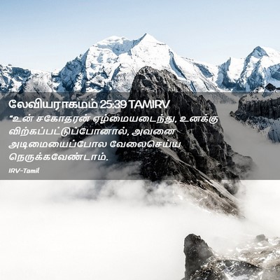 Picture 02 - லேவியராகமம் 25:39 TAMIRV - “உன் சகோதரன் - Bible Verse Picture