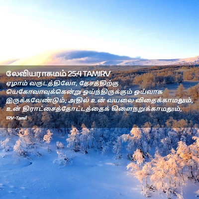Picture 02 - லேவியராகமம் 25:4 TAMIRV - ஏழாம் வருடத்திலோ, - Bible Verse Picture