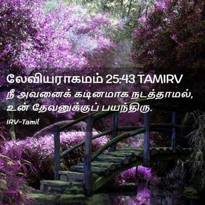 Picture 02 - லேவியராகமம் 25:43 TAMIRV - நீ அவனைக் கடினமாக - Bible Verse Picture