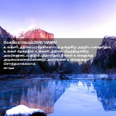 Picture 02 - லேவியராகமம் 25:45 TAMIRV - உங்களிடத்திலே - Bible Verse Picture
