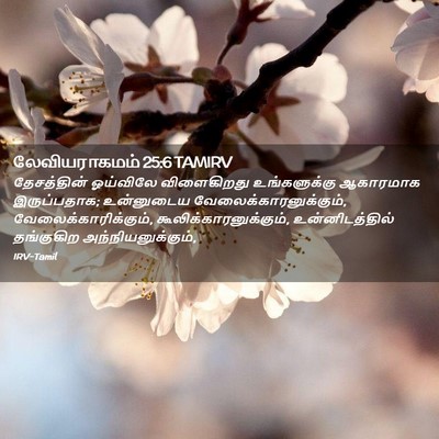 Picture 02 - லேவியராகமம் 25:6 TAMIRV - தேசத்தின் ஓய்விலே - Bible Verse Picture