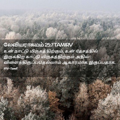 Picture 02 - லேவியராகமம் 25:7 TAMIRV - உன் நாட்டு - Bible Verse Picture