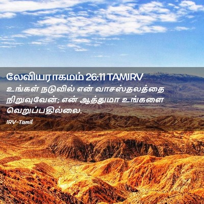 Picture 02 - லேவியராகமம் 26:11 TAMIRV - உங்கள் நடுவில் - Bible Verse Picture