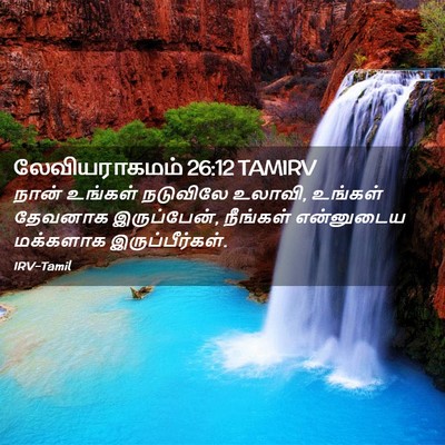 Picture 02 - லேவியராகமம் 26:12 TAMIRV - நான் உங்கள் - Bible Verse Picture