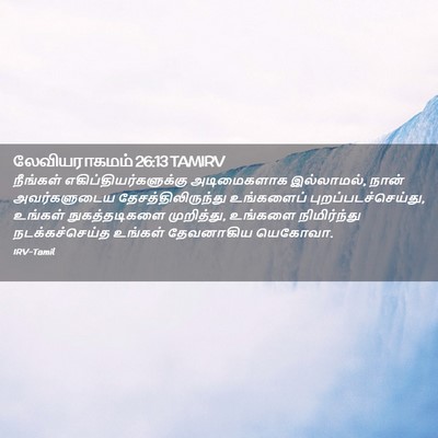 Picture 02 - லேவியராகமம் 26:13 TAMIRV - நீங்கள் - Bible Verse Picture