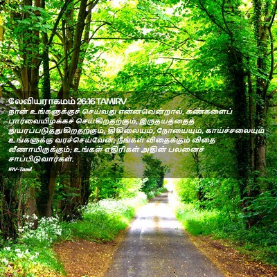 Picture 02 - லேவியராகமம் 26:16 TAMIRV - நான் உங்களுக்குச் - Bible Verse Picture