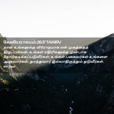 Picture 02 - லேவியராகமம் 26:17 TAMIRV - நான் உங்களுக்கு - Bible Verse Picture