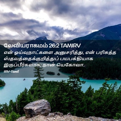 Picture 02 - லேவியராகமம் 26:2 TAMIRV - என் ஓய்வுநாட்களை - Bible Verse Picture