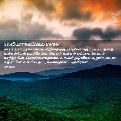 Picture 02 - லேவியராகமம் 26:25 TAMIRV - என் உடன்படிக்கையை - Bible Verse Picture