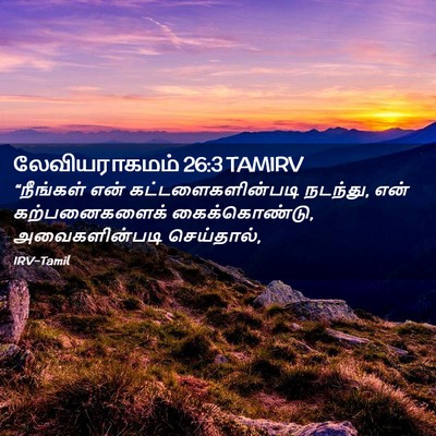 Picture 02 - லேவியராகமம் 26:3 TAMIRV - “நீங்கள் என் - Bible Verse Picture