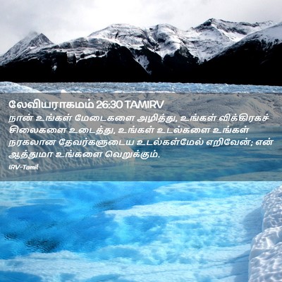 Picture 02 - லேவியராகமம் 26:30 TAMIRV - நான் உங்கள் - Bible Verse Picture
