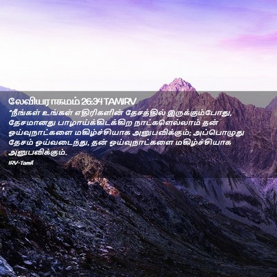 Picture 02 - லேவியராகமம் 26:34 TAMIRV - “நீங்கள் உங்கள் - Bible Verse Picture