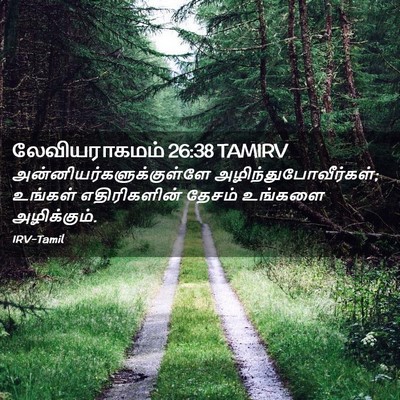 Picture 02 - லேவியராகமம் 26:38 TAMIRV -  - Bible Verse Picture