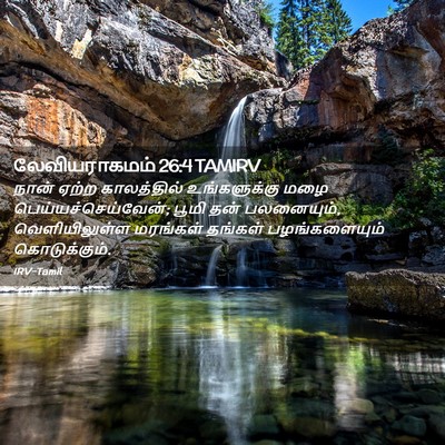 Picture 02 - லேவியராகமம் 26:4 TAMIRV - நான் ஏற்ற - Bible Verse Picture