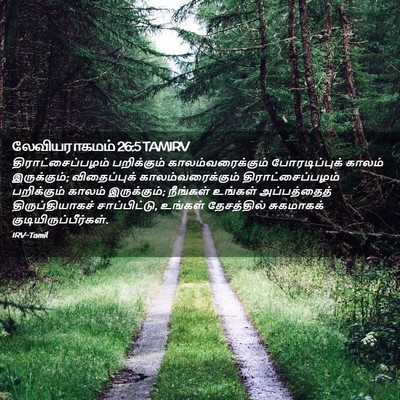 Picture 02 - லேவியராகமம் 26:5 TAMIRV - திராட்சைப்பழம் - Bible Verse Picture