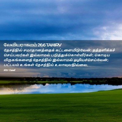 Picture 02 - லேவியராகமம் 26:6 TAMIRV - தேசத்தில் - Bible Verse Picture