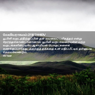 Picture 02 - லேவியராகமம் 27:18 TAMIRV - யூபிலி - Bible Verse Picture