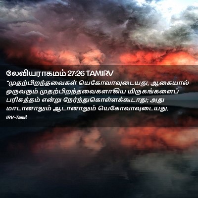 Picture 02 - லேவியராகமம் 27:26 TAMIRV -  - Bible Verse Picture