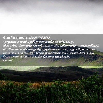Picture 02 - லேவியராகமம் 27:28 TAMIRV - “ஒருவன் - Bible Verse Picture