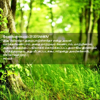 Picture 02 - லேவியராகமம் 27:33 TAMIRV - அது நல்லதோ - Bible Verse Picture