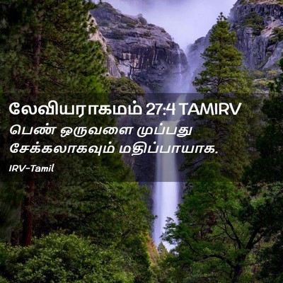Picture 02 - லேவியராகமம் 27:4 TAMIRV - பெண் ஒருவளை - Bible Verse Picture