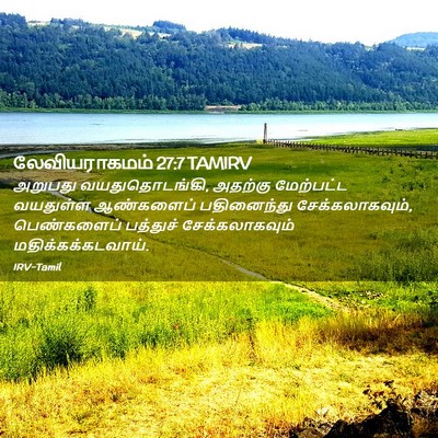 Picture 02 - லேவியராகமம் 27:7 TAMIRV - அறுபது - Bible Verse Picture