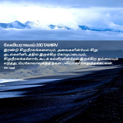 Picture 02 - லேவியராகமம் 3:10 TAMIRV - இரண்டு - Bible Verse Picture
