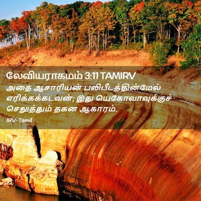 Picture 02 - லேவியராகமம் 3:11 TAMIRV - அதை ஆசாரியன் - Bible Verse Picture