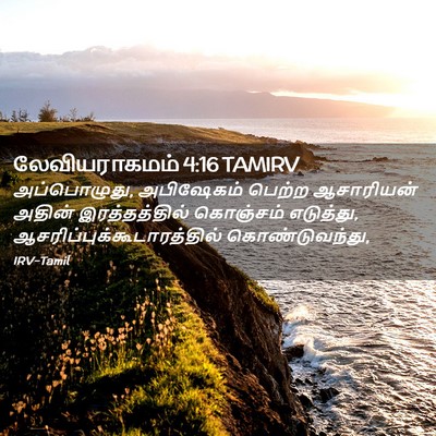 Picture 02 - லேவியராகமம் 4:16 TAMIRV - அப்பொழுது, - Bible Verse Picture