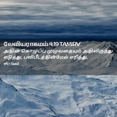 Picture 02 - லேவியராகமம் 4:19 TAMIRV - அதின் கொழுப்பு - Bible Verse Picture